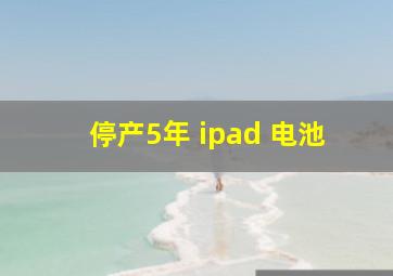 停产5年 ipad 电池